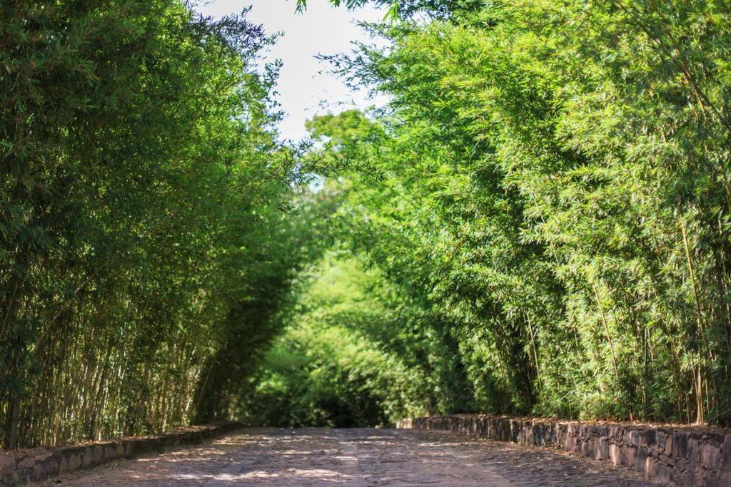 Pousada Bosque Do Lapao Lencois Buitenkant foto